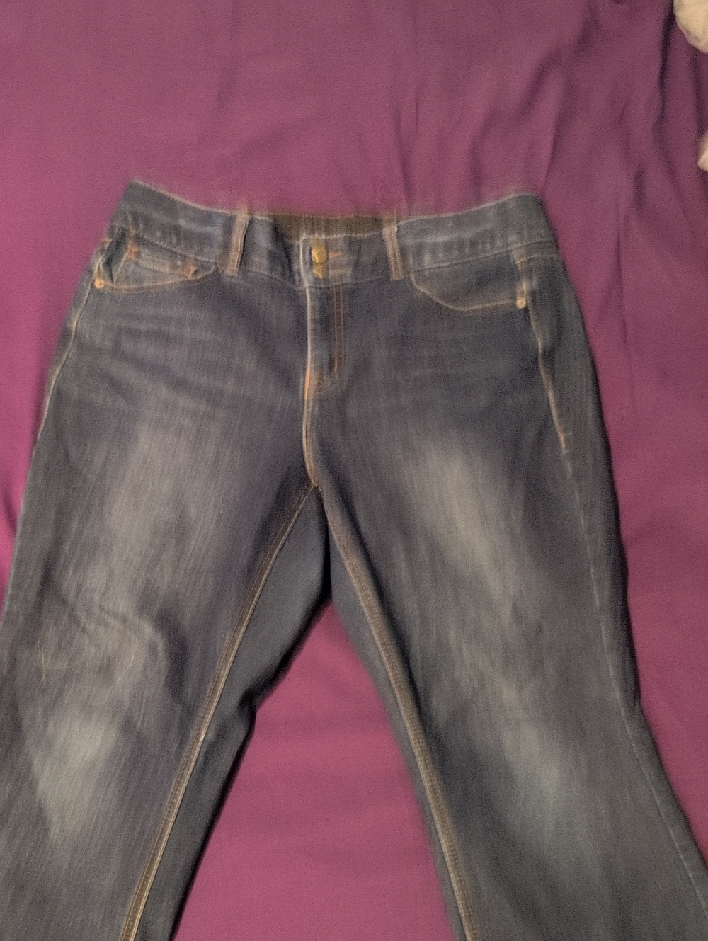 Lane Bryant Dark Blue Straight Leg Jeans